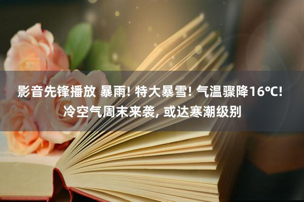 影音先锋播放 暴雨! 特大暴雪! 气温骤降16℃! 冷空气周末来袭， 或达寒潮级别