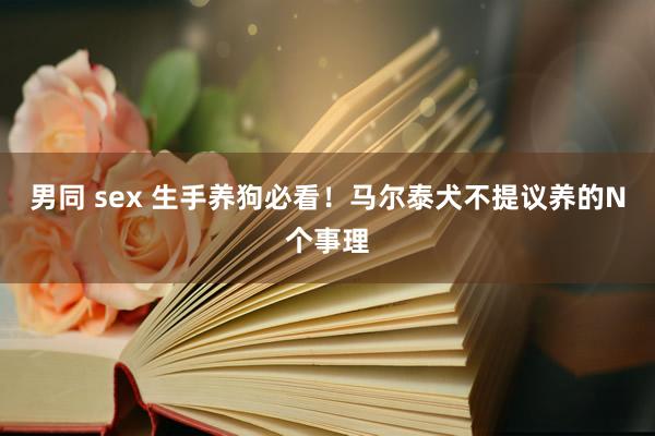 男同 sex 生手养狗必看！马尔泰犬不提议养的N个事理