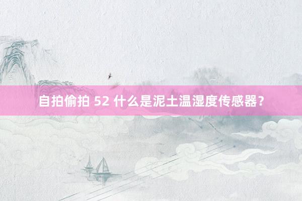 自拍偷拍 52 什么是泥土温湿度传感器？