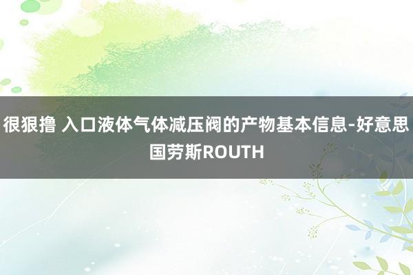 很狠撸 入口液体气体减压阀的产物基本信息-好意思国劳斯ROUTH