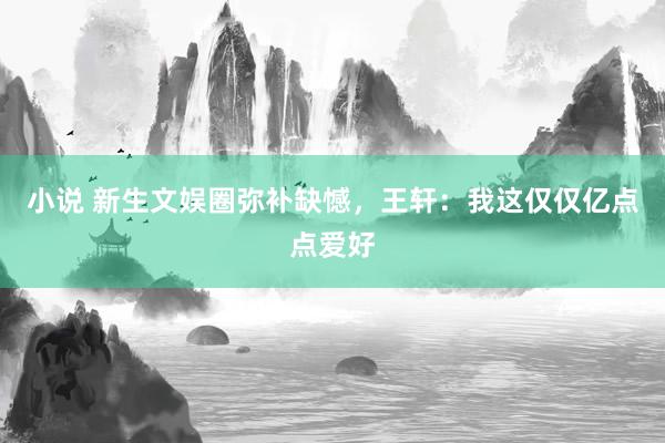 小说 新生文娱圈弥补缺憾，王轩：我这仅仅亿点点爱好