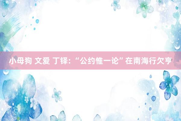 小母狗 文爱 丁铎: “公约惟一论”在南海行欠亨