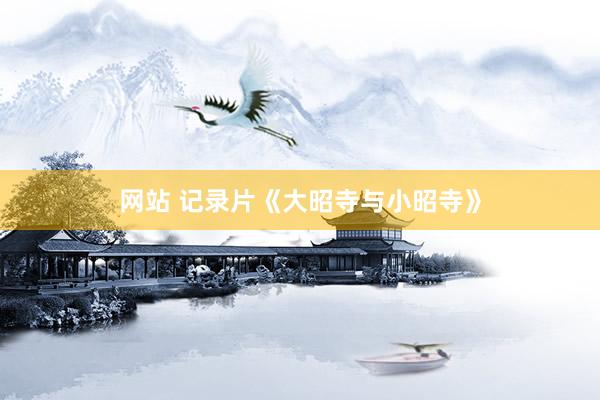 网站 记录片《大昭寺与小昭寺》