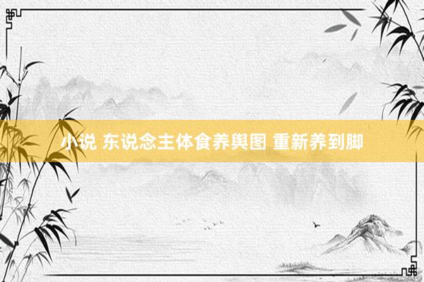 小说 东说念主体食养舆图 重新养到脚