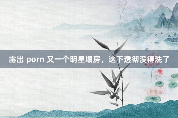 露出 porn 又一个明星塌房，这下透彻没得洗了