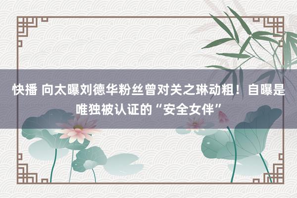 快播 向太曝刘德华粉丝曾对关之琳动粗！自曝是唯独被认证的“安全女伴”